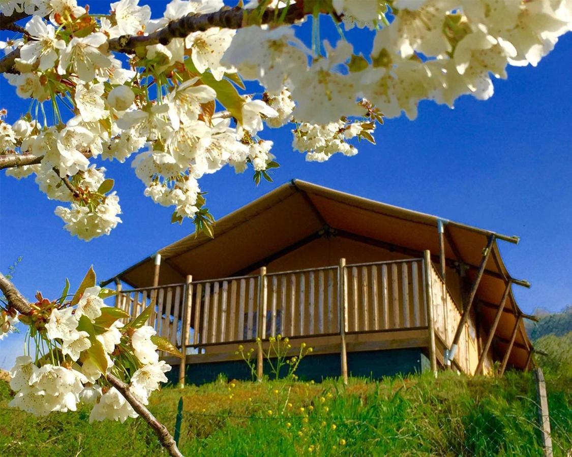 Apartment Villaladiva Boutique Glamping *